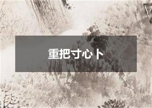 重把寸心卜