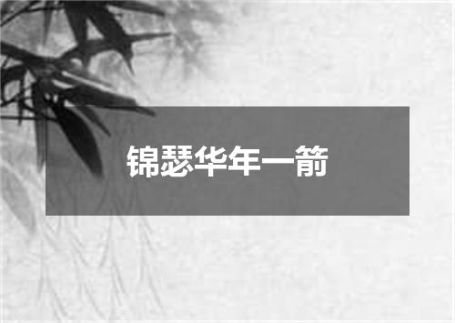 锦瑟华年一箭