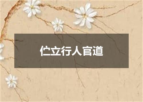 伫立行人官道