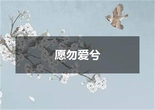 愿勿爱兮