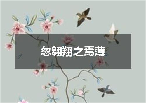 忽翱翔之焉薄