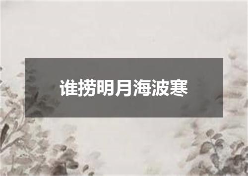 谁捞明月海波寒