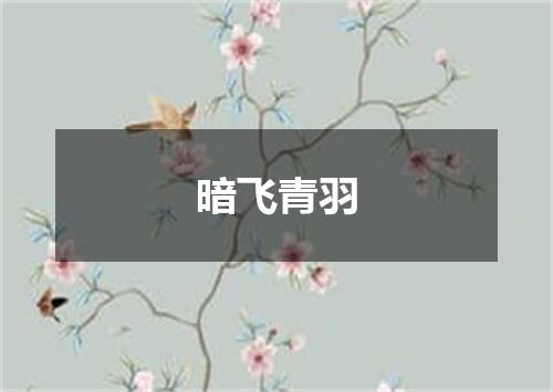 暗飞青羽