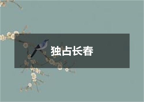独占长春