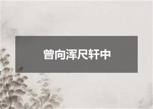 曾向浑尺轩中