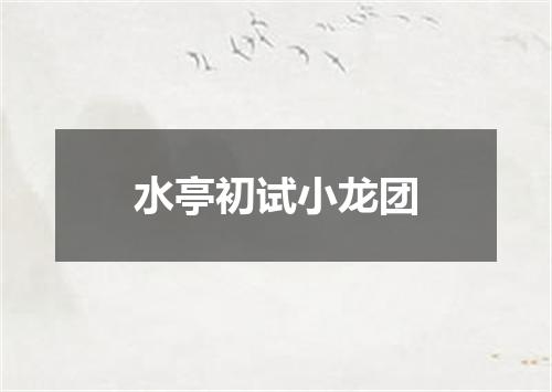 水亭初试小龙团