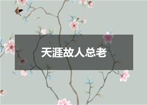 天涯故人总老