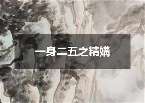 一身二五之精媾