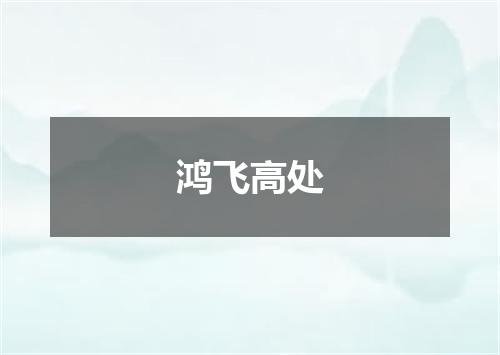 鸿飞高处