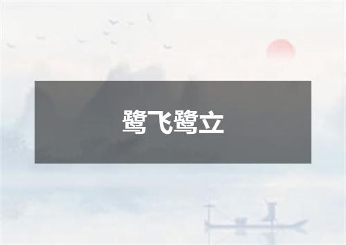 鹭飞鹭立