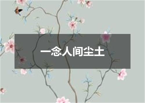一念人间尘土