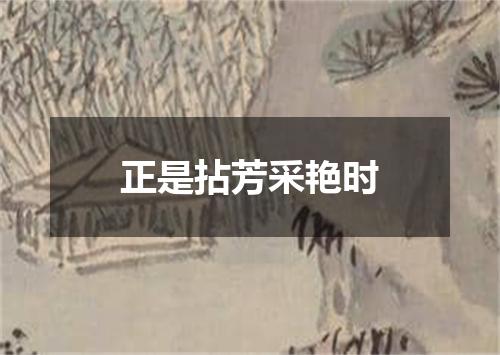 正是拈芳采艳时