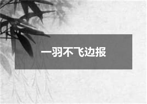 一羽不飞边报