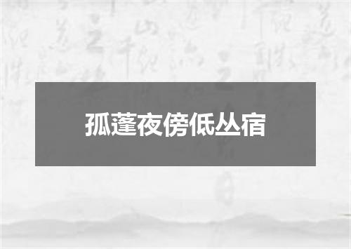 孤蓬夜傍低丛宿