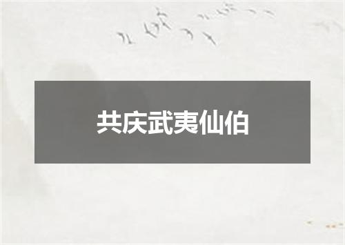 共庆武夷仙伯