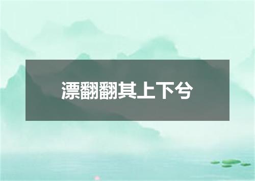 漂翻翻其上下兮