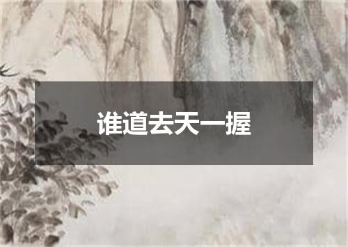 谁道去天一握