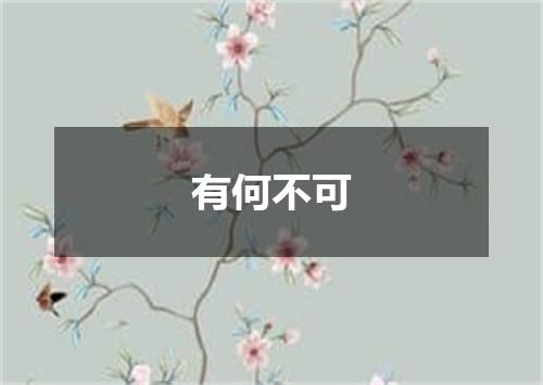 有何不可