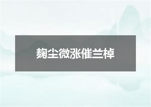 麹尘微涨催兰棹