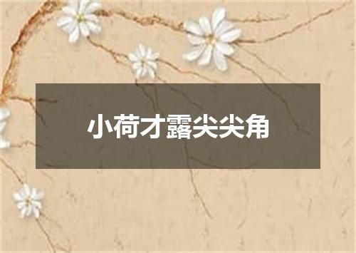 小荷才露尖尖角