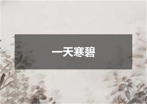 一天寒碧