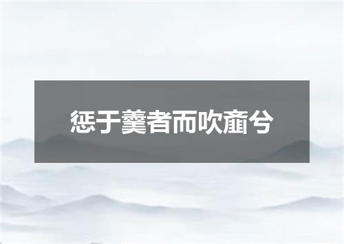 惩于羹者而吹齑兮