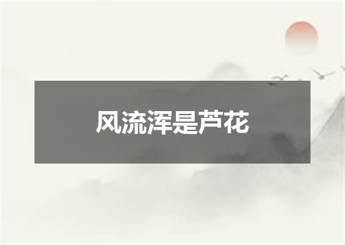 风流浑是芦花