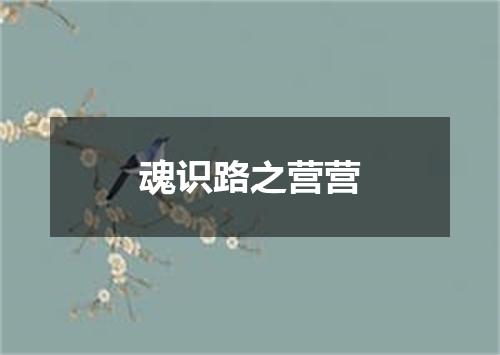 魂识路之营营
