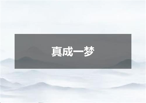 真成一梦