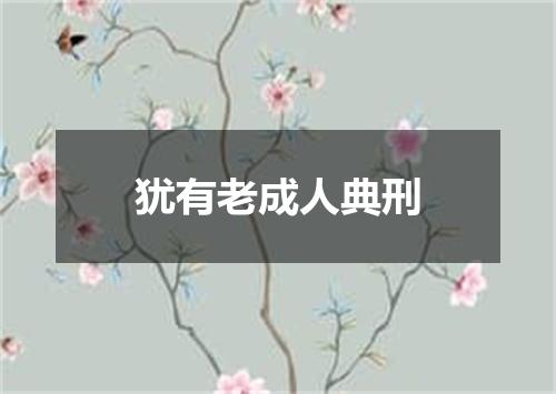 犹有老成人典刑