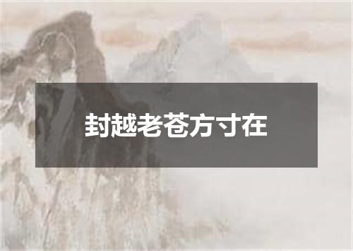 封越老苍方寸在