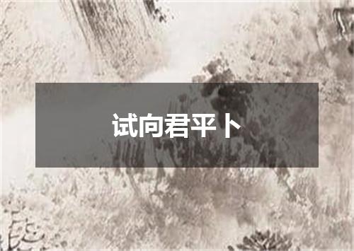 试向君平卜