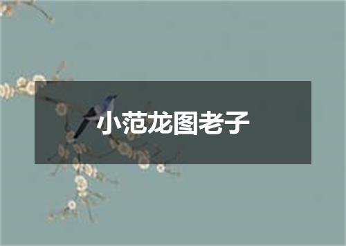 小范龙图老子