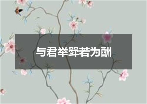 与君举斝若为酬