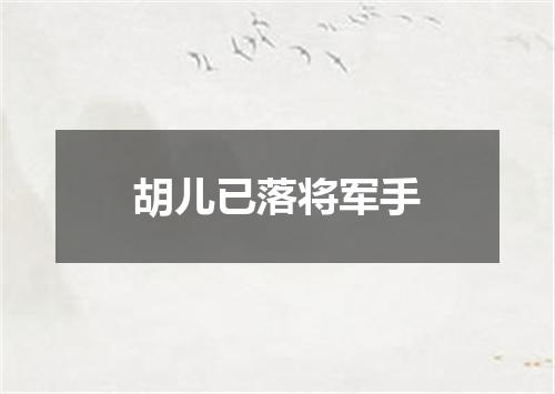 胡儿已落将军手