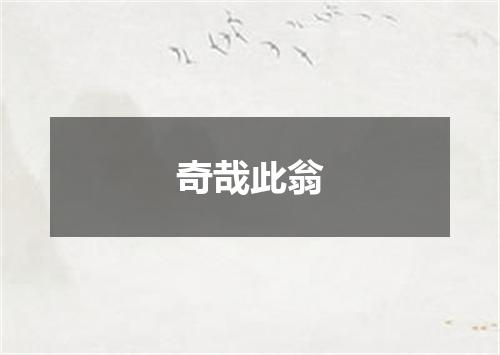 奇哉此翁