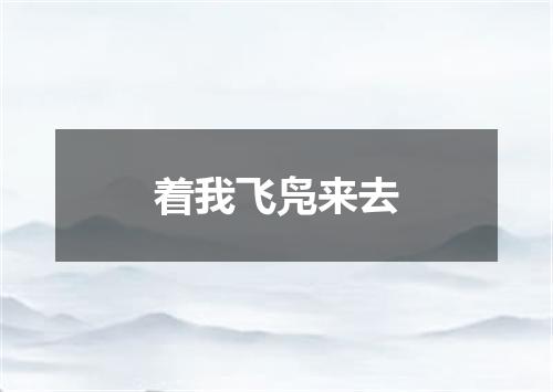 着我飞凫来去