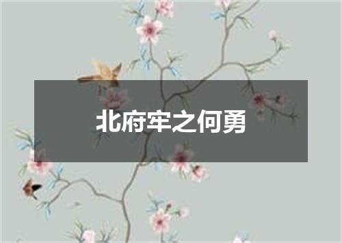 北府牢之何勇