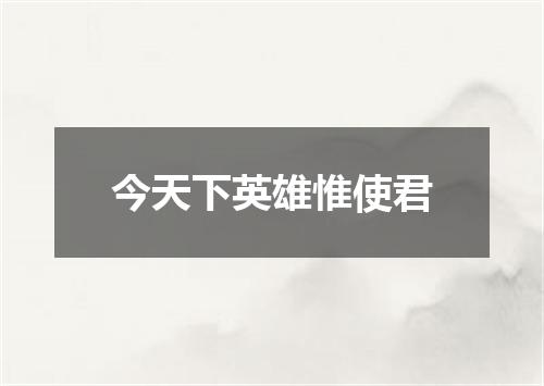 今天下英雄惟使君