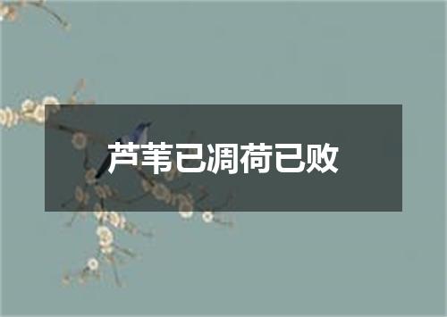 芦苇已凋荷已败