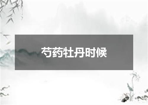 芍药牡丹时候