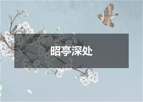 昭亭深处