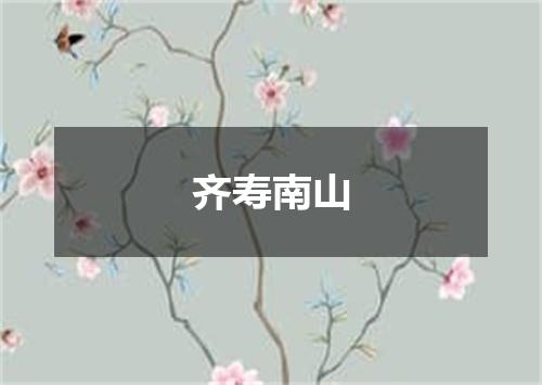 齐寿南山