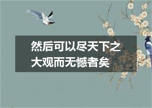 然后可以尽天下之大观而无憾者矣