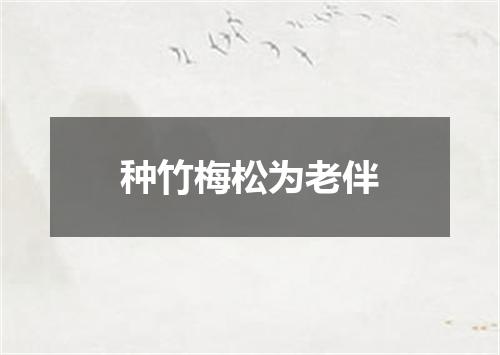 种竹梅松为老伴