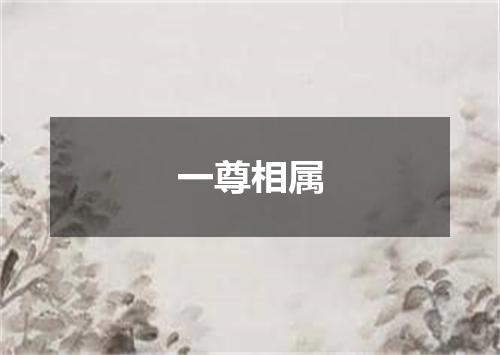 一尊相属