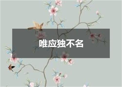 唯应独不名