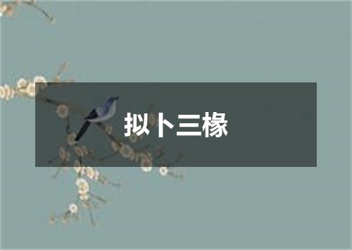 拟卜三椽