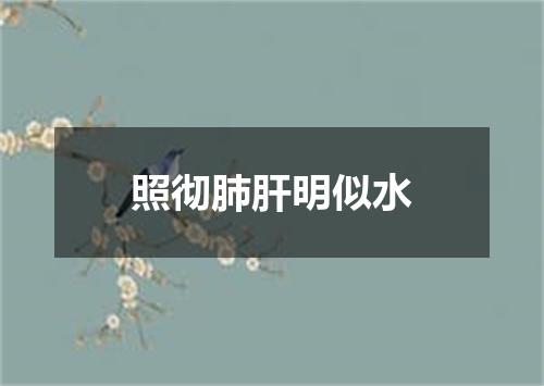 照彻肺肝明似水