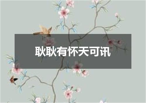 耿耿有怀天可讯